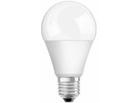 LED BULBS