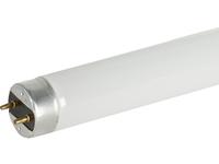 FLUORESCENT LAMPS