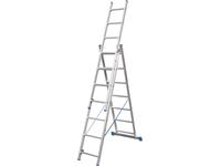 PROFESSIONAL LADDERS