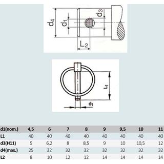 ΤΟΡ LINK ΡΙΝ 4.5