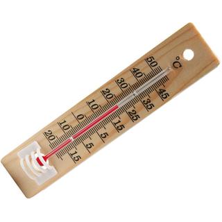 Thermometer