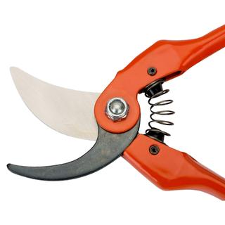 Secateurs BAHCO 126/22