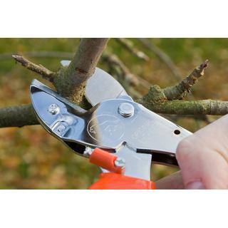 Pruner LOWE 1104