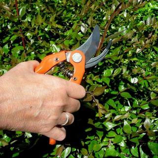 Secateurs BAHCO 121/20