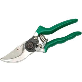 Pruner 2036 AMEGO