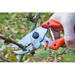 Pruner LOWE 8107