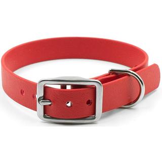 dog collar 35Χ65