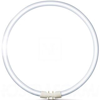 LIGHT BULB FLUORESCENTE 40W CIRCLE