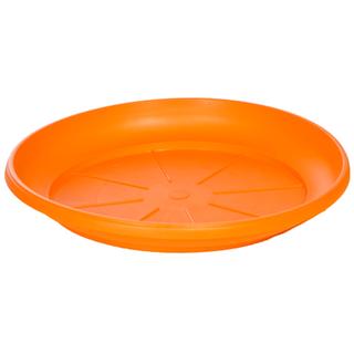 DISHES FOR Α COLOR 122.5 611