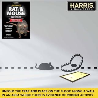 MOUSE TRAP