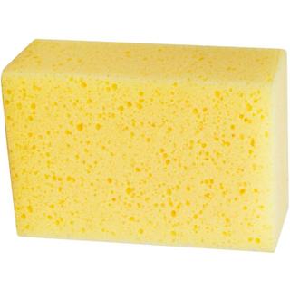 SPONGE