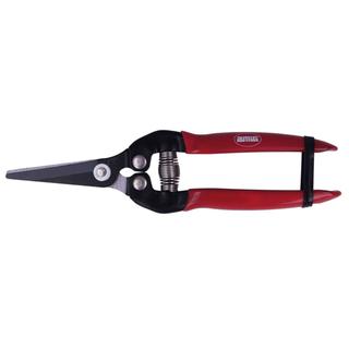 PRUNER