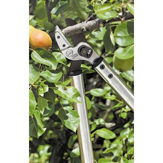 PRUNNERS LOWE 20 / 80CM