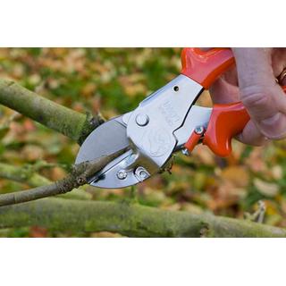 PRUNER LOWE 1107