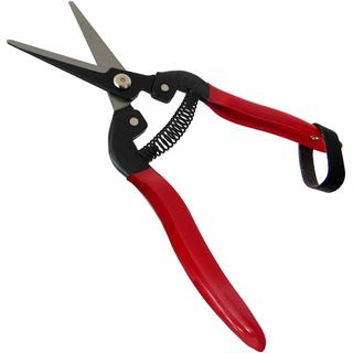 PRUNER