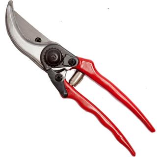 PRUNER FALCI