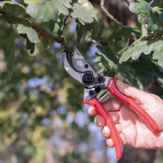 PRUNING SHEARS Ρ12