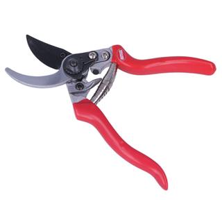 PRUNING SHEARS Ρ13