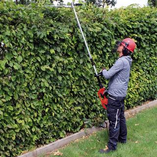 EINHELL Electric hedge trimmer with telescopic pole GC-HH 9048